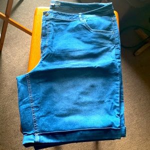 Women Within denim jean shorts